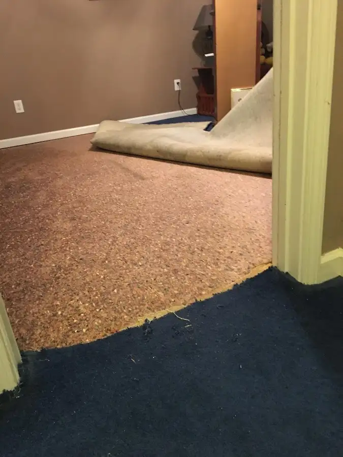Carpet pad removal revealing water damage during Drying & Dehumidification in Oakbrook